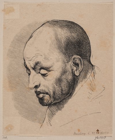 Kel bir adamın başı by Peter Ludvig Meisling