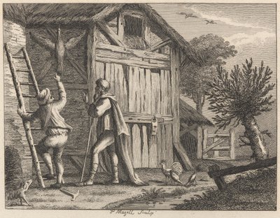 Pisagor ve Taşralı by Peter Mazell