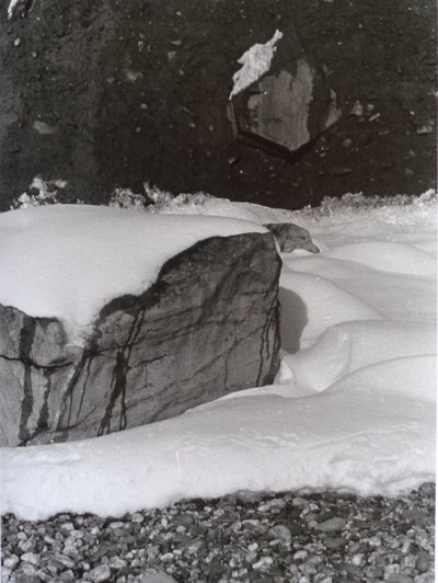 VINTAGE S&B FOTOĞRAF No.3, 1985, (FOTOĞRAF) by Peter McClure