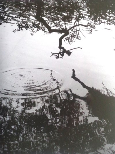 VINTAGE S&B FOTOĞRAF No.5, 1986, (FOTOĞRAF) by Peter McClure
