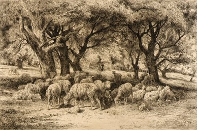  by Peter Moran