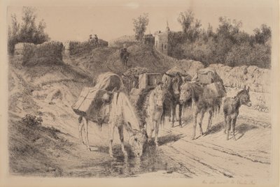 Santa Fe Yolunda by Peter Moran