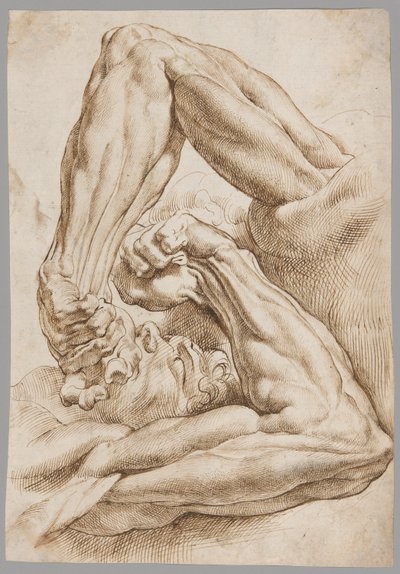 Anatomik Çalışmalar Sayfası by Peter Paul Rubens