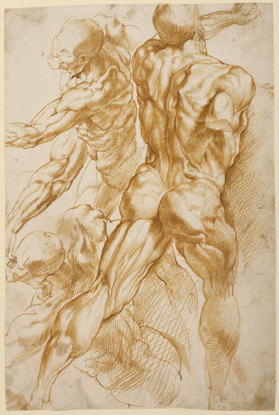 by Peter Paul Rubens