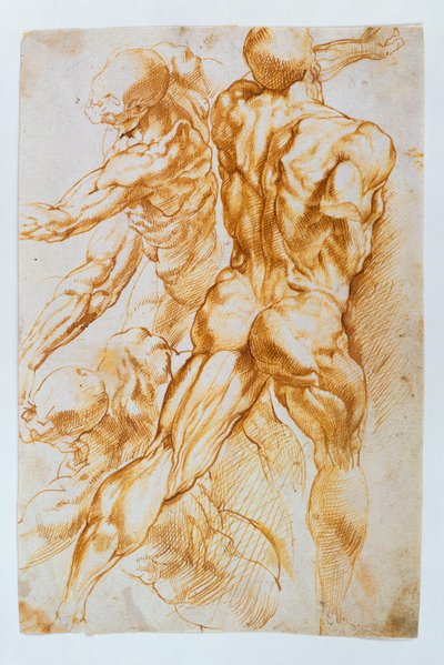 Anatomik çalışmalar: Dövüşte çıplaklar by Peter Paul Rubens