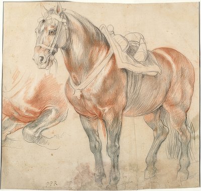 Eyerli at. 1615-18 civarında by Peter Paul Rubens