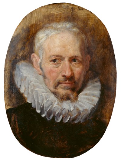 Yaşlı Bir Adamın Başı (panel üzerine yağlıboya) by Peter Paul Rubens