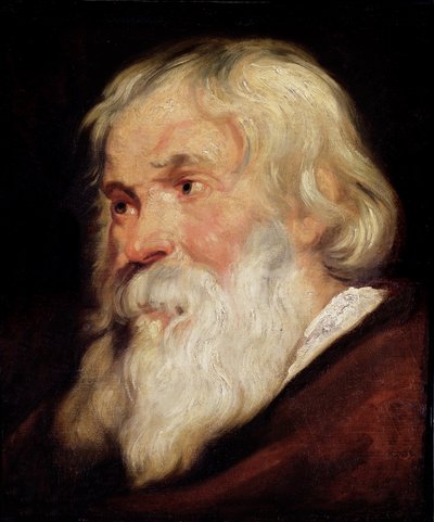 Yaşlı Bir Adamın Başı by Peter Paul Rubens