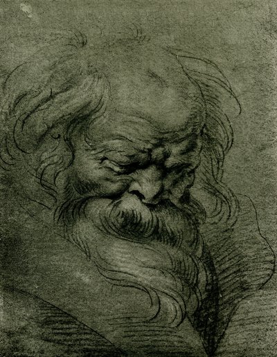 Bacchus için kafa çalışması by Peter Paul Rubens