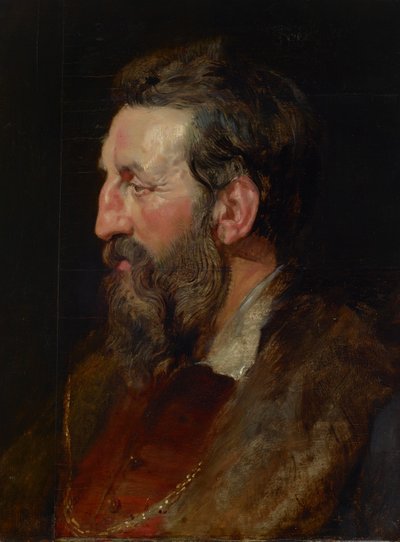 Bir Adamın Portresi, 1615 dolayları (panel üzerine yağlıboya) by Peter Paul Rubens