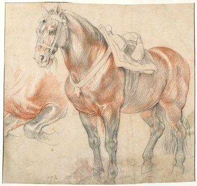 Eyerli At, c. 1616-1618 by Peter Paul Rubens