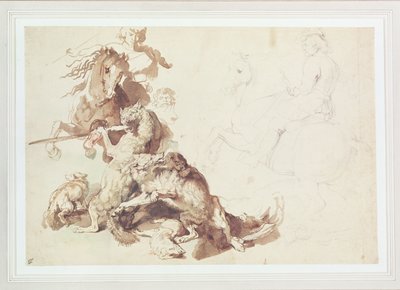 Kurt Avı için eskiz (kağıt üzerine suluboya ile kalem) by Peter Paul Rubens