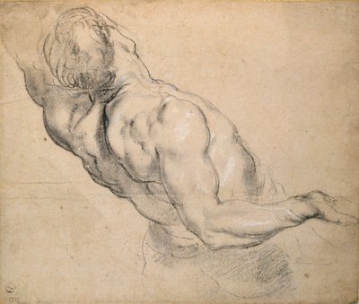 Çıplak bir erkek Gövde çalışması, 1600-1640 by Peter Paul Rubens