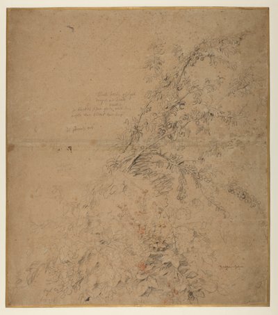 Karaçalının böğürtlen ve diğer bitkilerle incelenmesi, yaklaşık 1620 by Peter Paul Rubens