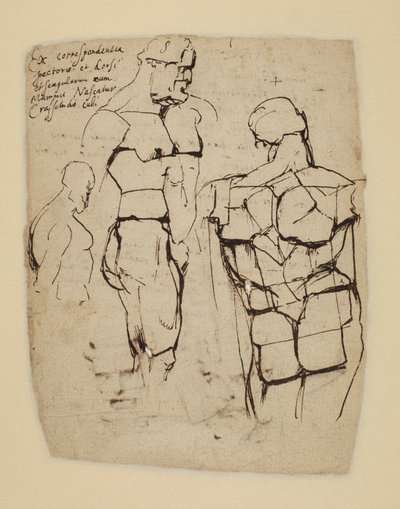 Farnese Herkül Çalışması by Peter Paul Rubens