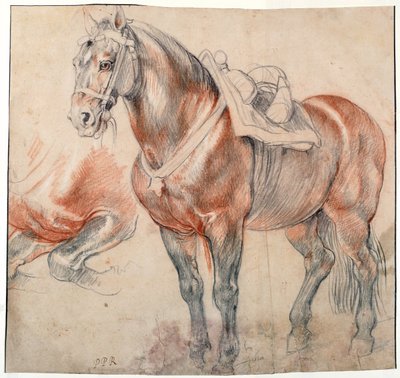 ""bir eyer at"" Pieter Paul Rubens (1577-1640) tarafından 1616-1618 dolaylarında Suluboya Viyana Bibliotheque albertina by Peter Paul Rubens