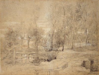 Woodland Scene, 17. yüzyılın başlarında by Peter Paul Rubens