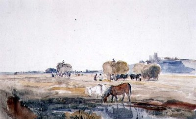 Bir Lincoln Hayfield (kağıt üzerine sulu boya) by Peter de Wint