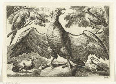 Kartal Diversarum avium türleri (dizi başlığı) Farklı kuşlar (dizi adı) by Peter van Liesebetten