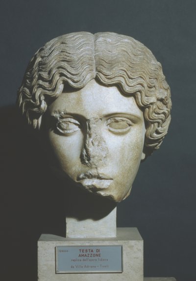 Amazon'un kafası by Phidias Phidias