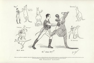 Pugilistik Kanguru by Phil May