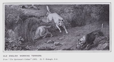 Eski İngiliz Çalışan Teriyerleri (lito) by Philip (after) Reinagle