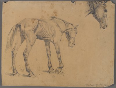 At ve at başı (kağıt üzerinde grafit) by Philip H. Wolfrom