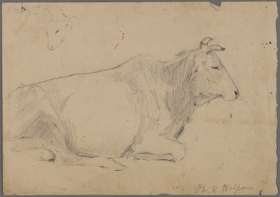 Oturan boğa (kağıt üzerinde grafit) by Philip H. Wolfrom