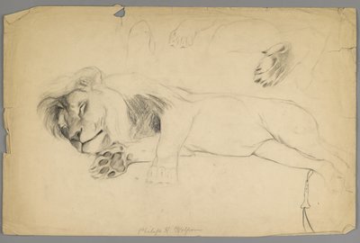 Uyuyan aslan (kağıt üzerinde grafit) by Philip H. Wolfrom