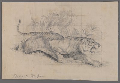Manzaradaki kaplan (kağıt üzerinde grafit) by Philip H. Wolfrom