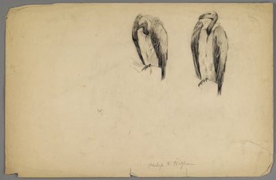 Akbabalar (kağıt üzerinde kömür) by Philip H. Wolfrom