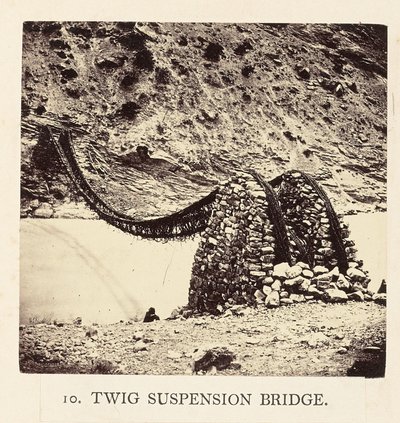 Twig Asma Köprüsü by Philip Henry Egerton