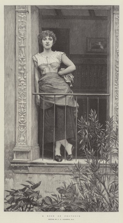 Provence Gülü by Philip Hermogenes Calderon