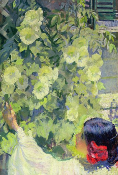  by Philip Leslie Hale