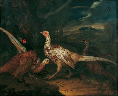 taciz etmek by Philipp Ferdinand de Hamilton