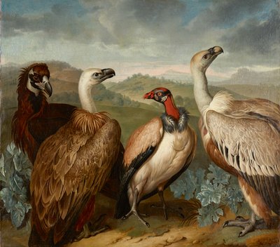 Farklı türden dört akbaba by Philipp Ferdinand de Hamilton