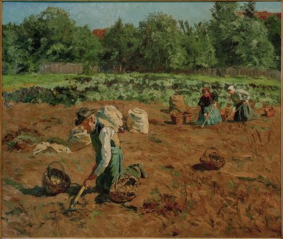 patates hasadı by Philipp Franck