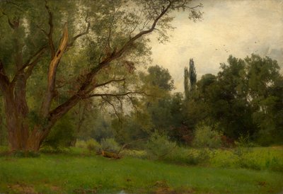 Kleinheubach am Main parkında by Philipp Röth