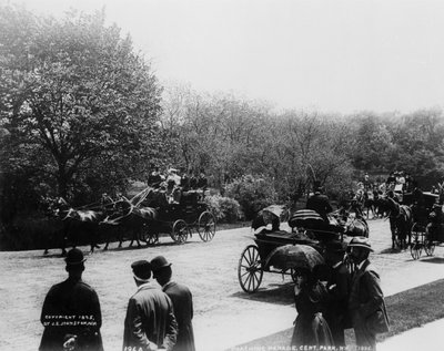 Koçluk, Central Park (s/b fotoğraf) by Photographer American