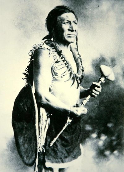 Beyaz Kuğu, Savaşçı (s/b fotoğraf) by Photographer American