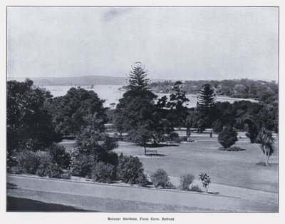 Botanik Bahçeleri, Farm Cove, Sidney (s/b fotoğraf) by Photographer Australian