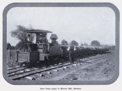 Marian Mill