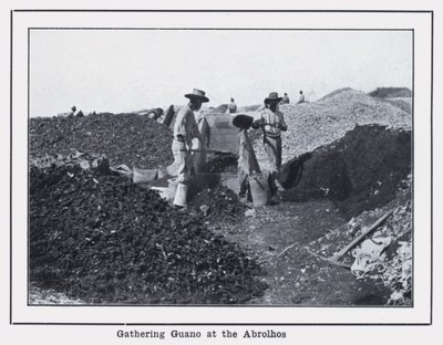 Abrolhos'ta Guano Toplama (s/b fotoğraf) by Photographer Australian