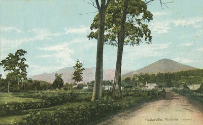Healesville, Victoria, Avustralya (renkli fotoğraf) by Photographer Australian