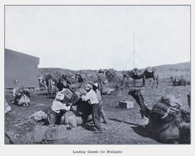 Nullagine için Deve Yükleme (s/b fotoğraf) by Photographer Australian