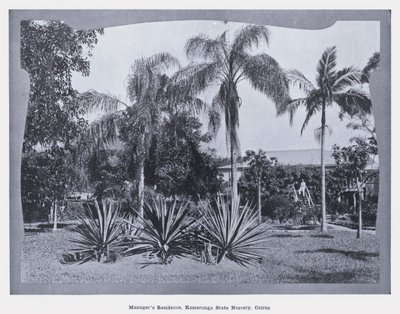 Yönetici Yurdu, Kamerunga Devlet Kreş, Cairns (s/b fotoğraf) by Photographer Australian