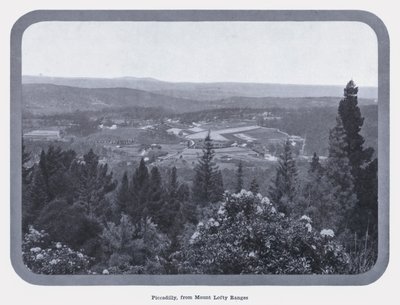 Piccadilly, Mount Lofty Ranges