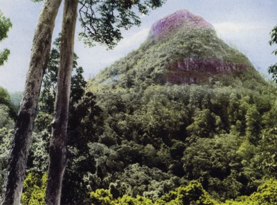 Queensland, Avustralya: Mt Cordeaux (fotoğraf) by Photographer Australian