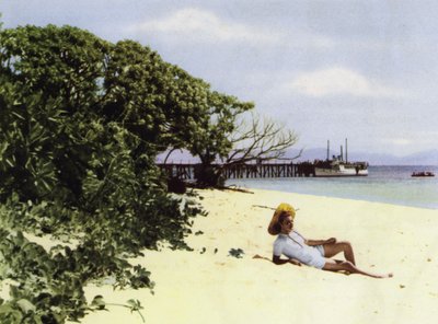 Queensland, Avustralya: Tropikal Plaj (fotoğraf) by Photographer Australian