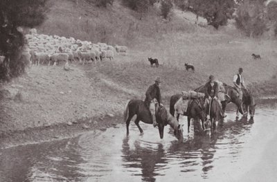 Gerisi, Tipik Avustralyalı Stokçular (s/b fotoğraf) by Photographer Australian
